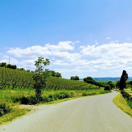 Centralissimo Nel Cuore Del Borgo Suvereto Eksteriør bilde