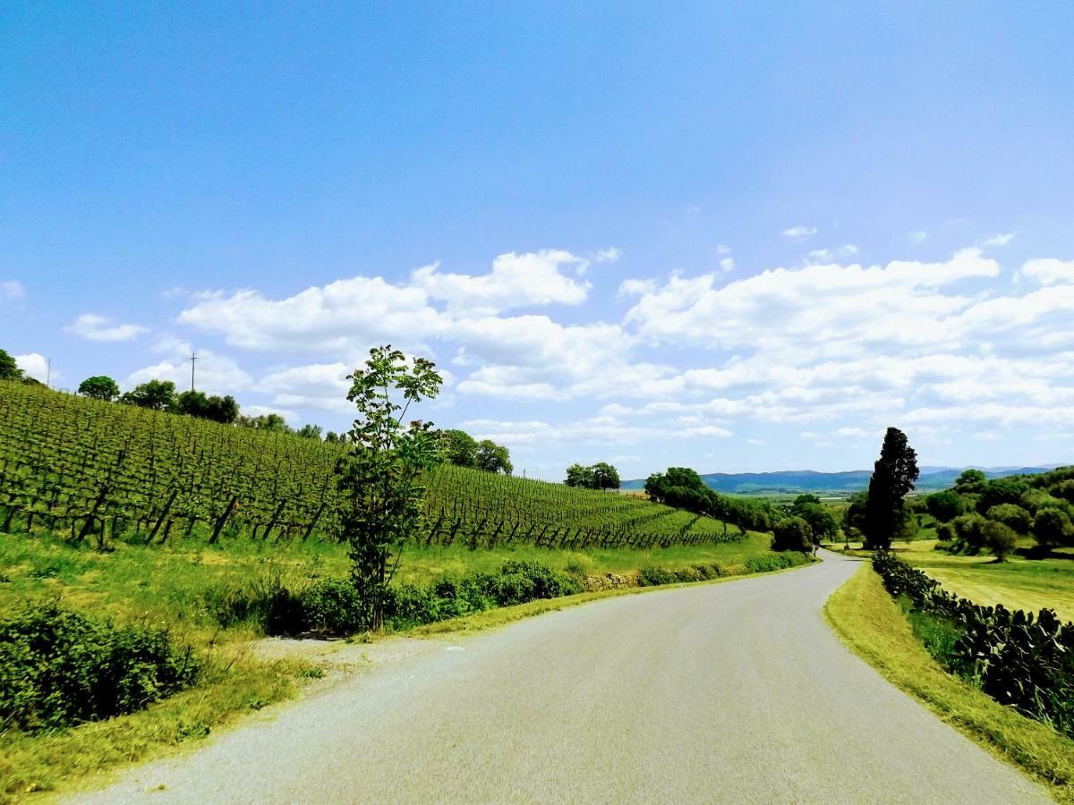 Centralissimo Nel Cuore Del Borgo Suvereto Eksteriør bilde