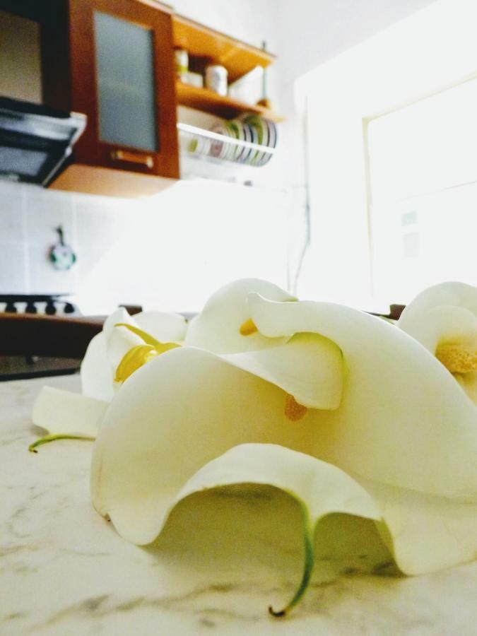 Centralissimo Nel Cuore Del Borgo Suvereto Eksteriør bilde